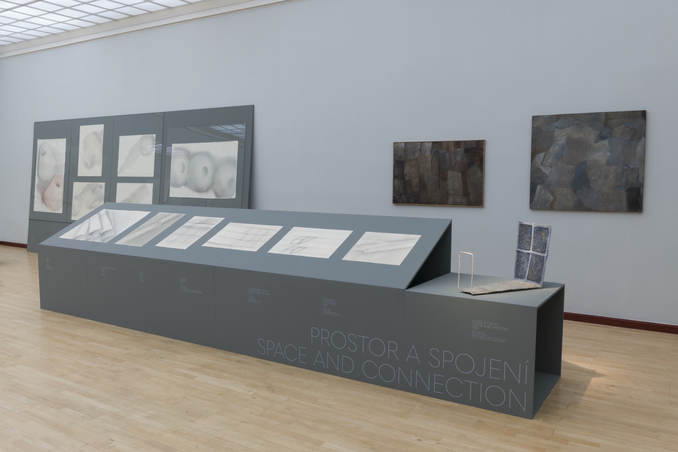 Jitka Svobodová: Za hranou viděného