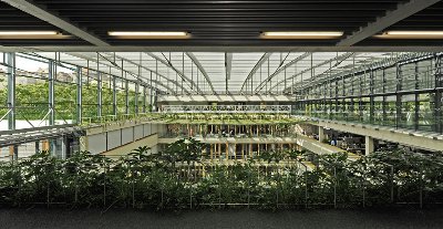 Nové ústředí ČSOB Group v Praze-Radlicích