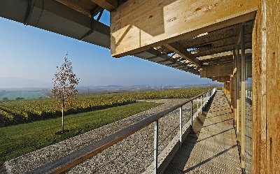 Sonberk a.s., vinařský dům v Popicích