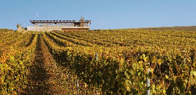 Sonberk a.s., vinařský dům v Popicích