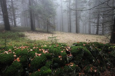 Rodinný rekreační objekt Labská