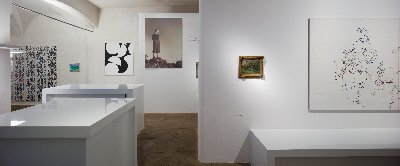 Zdeněk Sýkora / Moje příroda