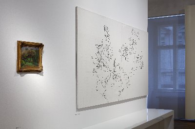 Zdeněk Sýkora / Moje příroda