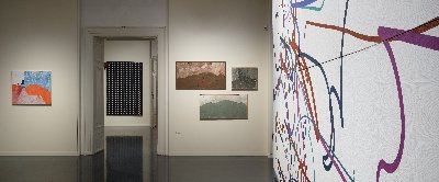 Zdeněk Sýkora / Moje příroda